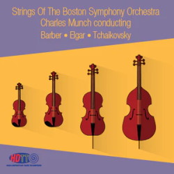 BSO-strings-HDTT3660